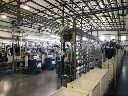 全球布局引領(lǐng)未來(lái) 華爾科技成為中國(guó)紡織業(yè)的世界代言人